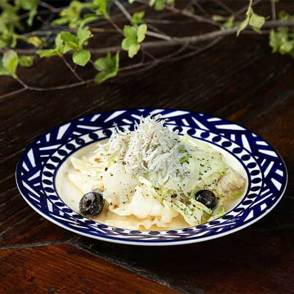 しらチョビキャベツ