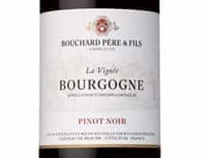 ブルゴーニュ ピノ ノワール ラ ヴィニェ