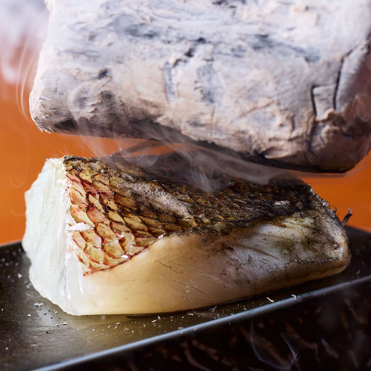 春魚の炭タタキ