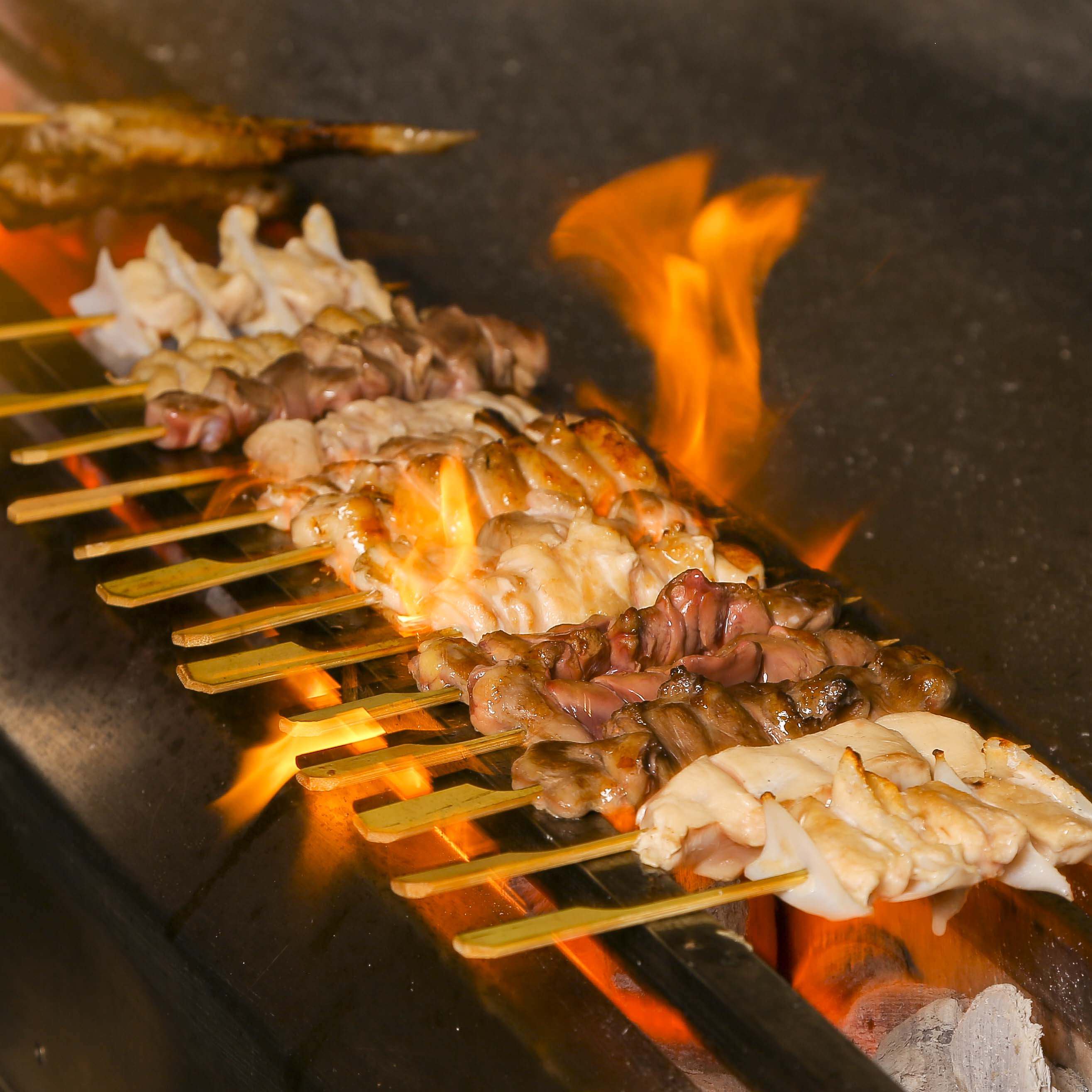 【 炭火串焼き 】炭火で焼く本気の焼き鳥