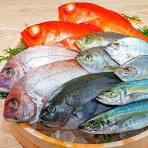 こんな魚種が持ち込める魚種の一例