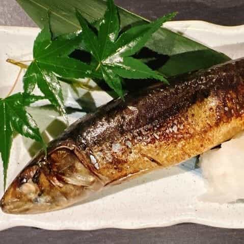 脂のり抜群。 大とろ塩いわし