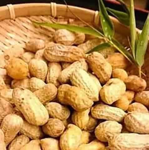 《かごんまの》塩ゆで落花生